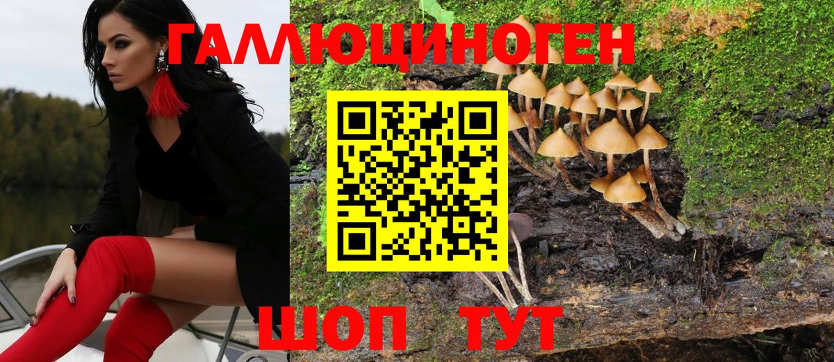 Галлюциногенные грибы Magic Shrooms Ликино-Дулёво